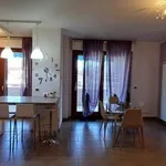 Appartamento arredato con terrazzo Villa verrocchio