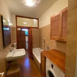 Rent 1 bedroom house of 40 m² in Florence