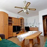 Rent 2 bedroom apartment of 50 m² in Bytom