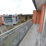 Pronajměte si 2 ložnic/e byt o rozloze 58 m² v plzen