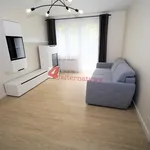 Rent 1 bedroom apartment of 37 m² in Tarnów