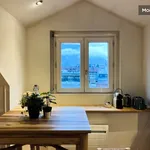 Rent 1 bedroom apartment of 26 m² in Grenoble