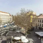 Rent 1 bedroom student apartment of 16 m² in Madrid