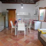 Rent 2 bedroom apartment of 50 m² in Pozzilli