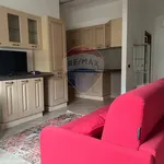 Rent 1 bedroom apartment of 44 m² in Garbagnate Milanese