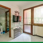 Rent 1 bedroom apartment of 35 m² in Gallarate