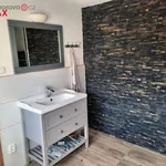 Rent 1 bedroom house of 100 m² in Horní Bludovice