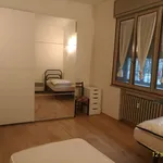 Rent 2 bedroom apartment of 56 m² in Reggio nell'Emilia