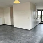 Rent 2 bedroom apartment in WESTERLO