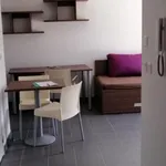 Rent 1 bedroom apartment of 21 m² in Grenoble