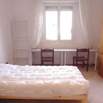 Rent 2 bedroom apartment of 100 m² in bologna