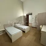 Rent 1 bedroom apartment of 20 m² in Torino