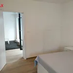 Rent 2 bedroom apartment of 59 m² in brno