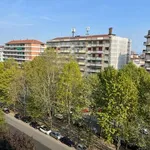 Rent 3 bedroom apartment of 97 m² in Torino