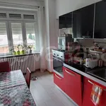 Rent 3 bedroom apartment of 100 m² in Rivarolo Canavese