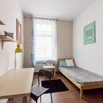 Rent a room in poznan