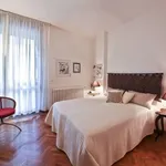 Rent 2 bedroom apartment of 50 m² in Firenze