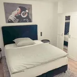 Rent 4 bedroom apartment of 100 m² in frankfurt