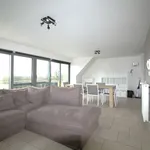 Rent 2 bedroom apartment in Anzegem