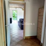 Rent 4 bedroom apartment of 100 m² in Modena