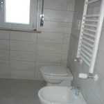 Rent 1 bedroom house in L'Aquila