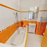 Rent 1 bedroom apartment in Náchod