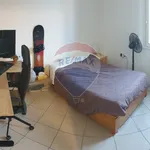 Rent 3 bedroom apartment of 85 m² in Bologna