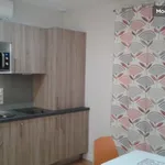 Rent 1 bedroom apartment of 30 m² in Toulouse