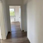 die perfekte Singelwohnung mit viel Platz für ein Hobby