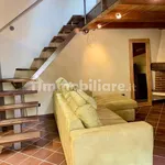 Rent 1 bedroom house of 50 m² in Novara