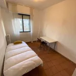 Rent a room in madrid