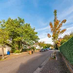 City-Residence: Modern and bright lower basement flat in a residential area of Kelkheim – euhabitat