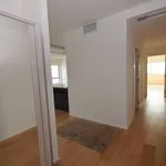 Rent 3 bedroom apartment of 80 m² in Padova