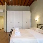 Rent 1 bedroom apartment in Florence