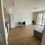 Rent 2 bedroom apartment of 42 m² in Warszawa