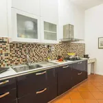 Rent 2 bedroom apartment of 92 m² in florence