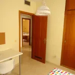 Rent a room in cordoba