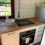 Rent 5 bedroom apartment of 90 m² in Siena