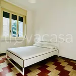 Rent 3 bedroom apartment of 80 m² in Milano