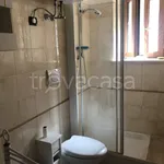 Rent 1 bedroom apartment of 30 m² in Albano Laziale