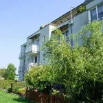 Rent 2 bedroom apartment of 62 m² in Bochum