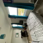 Rent 7 bedroom house in Worcester