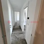 Affitto 3 camera appartamento di 77 m² in Bari