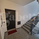 Rent 2 bedroom apartment of 68 m² in Milano