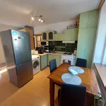 Rent 1 bedroom apartment of 48 m² in Pilsen