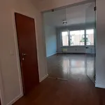 Rent 1 bedroom apartment in Koekelberg