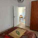 Rent 2 bedroom apartment in Lovnic