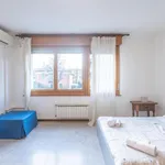 Rent 1 bedroom apartment in Bologna