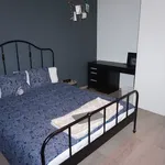 Rent 1 bedroom apartment in Leuven