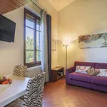 Rent 2 bedroom apartment of 45 m² in Florence